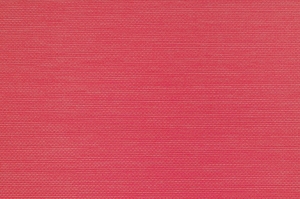 Tapeta dekoracyjna Vinylpex Ralph W47.380