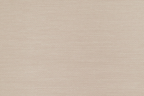 Tapeta dekoracyjna Vinylpex Ralph W47.352
