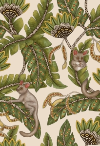 Tapeta dekoracyjna Cole&Son Ardmore Jabula Bush Baby 119/7032