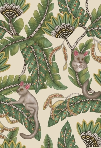 Tapeta dekoracyjna Cole&Son Ardmore Jabula Bush Baby 119/7035