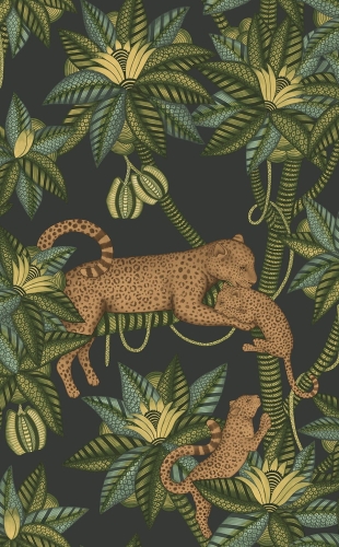 Cole&amp;Son Ardmore Jabula Satara 119/3016