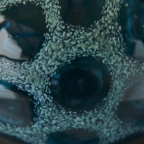 d4398c5dc81d5cd079496bd9eca2cc53