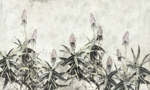 Tapeta Wonderwall Agava 35 0782 05