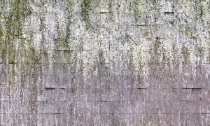 Tapeta Wonderwall Allure 35 0796 07