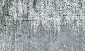 Tapeta Wonderwall Allure 35 0796 01