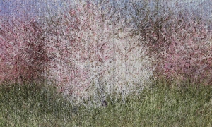 Tapeta Wonderwall Bloom 35 0523 08