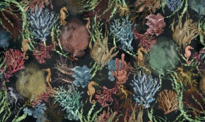 Tapeta Wonderwall Corallo 35 0521 01