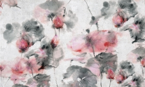 Tapeta Wonderwall Euforia 35 0781 00