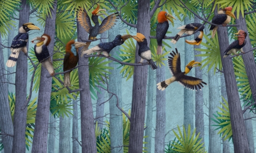Hornbill 0841 03.jpg