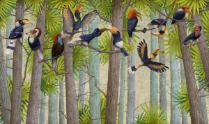 Tapeta Wonderwall Hornbill 35 0841 05