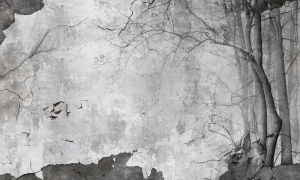 Tapeta Wonderwall Ilussion 35 0431 01