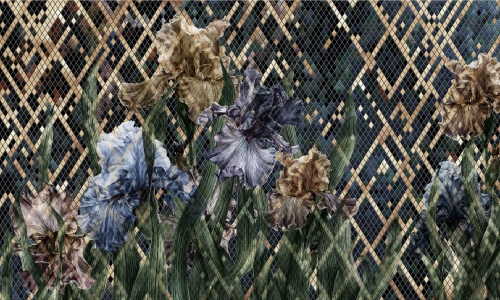 Iris 35 0763 07.jpg