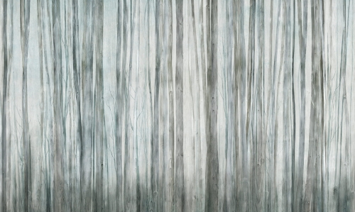 Mirage 0794 17.jpg