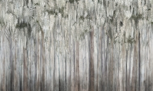 Tapeta  Wonderwall Mirage 35 0794 08