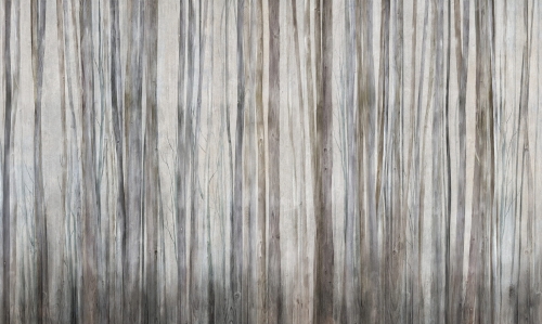 Mirage 0794 18.jpg