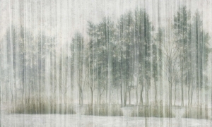 Tapeta Wonderwall Sherwood 35 0462 08