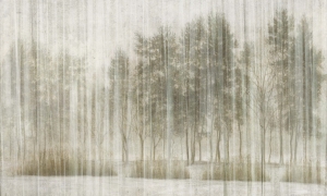 Tapeta Wonderwall Sherwood 35 0462 06