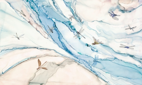 Spirit 35 0519 03.jpg