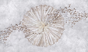 Tapeta Wonderwall Sunray 35 0476 01