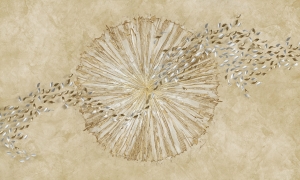 Tapeta Wonderwall Sunray 35 0476 03