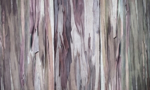 Tapeta Wonderwall Valentina 35 0775 15