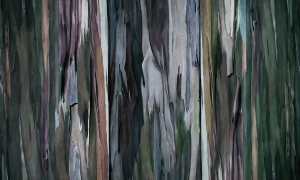 Tapeta Wonderwall Valentina 35 0775 18