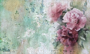 Tapeta Wonderwall Verano 35 0768 05