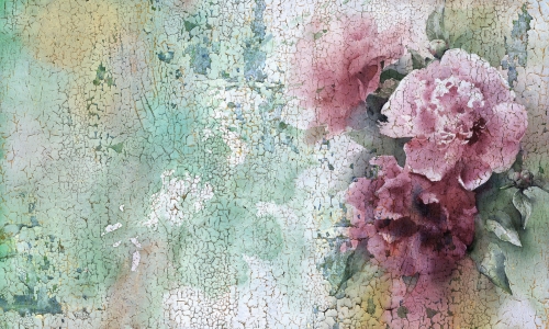 Verano  35 0768 05.jpg