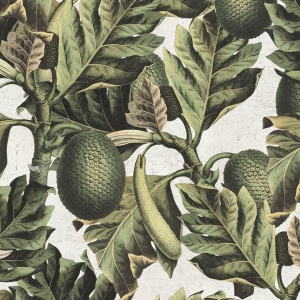 Tapeta MINDTHEGAP Exotic Fruit I WP20097