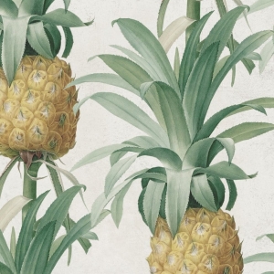 Tapeta MINDTHEGAP Ananas WP20090