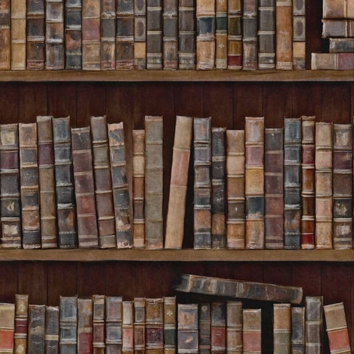 INDTHEGAP Eclectic Book Shelves WP20112