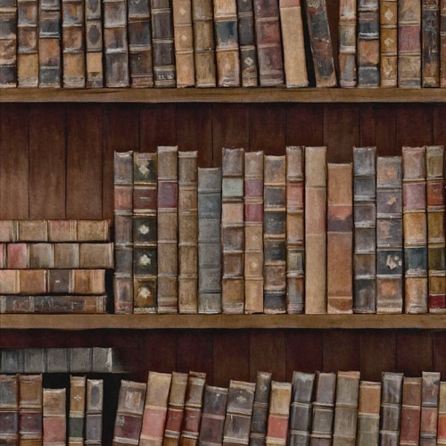 INDTHEGAP Eclectic Book Shelves WP20112