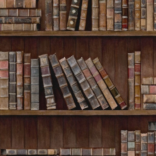 INDTHEGAP Eclectic Book Shelves WP20112