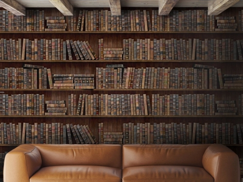 INDTHEGAP Eclectic Book Shelves WP20112