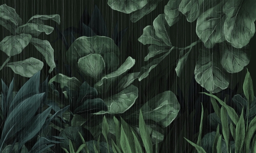 art of ficus.jpg