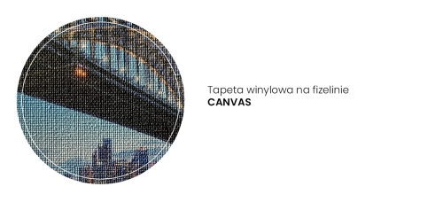 CANVAS.jpg
