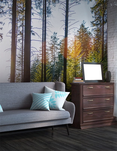 Green forest1.jpg