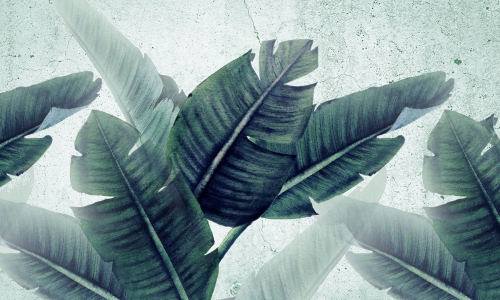 hugeleaves.jpg