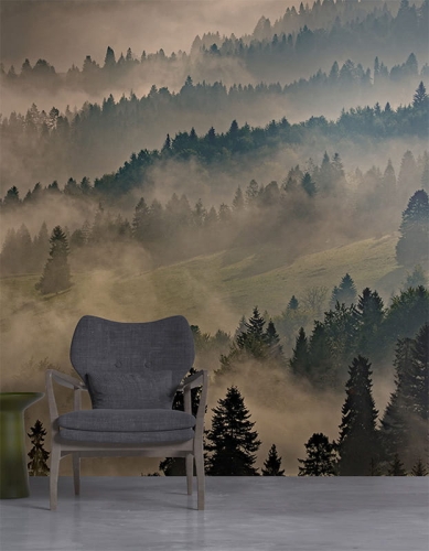 morning in the mountains1.jpg
