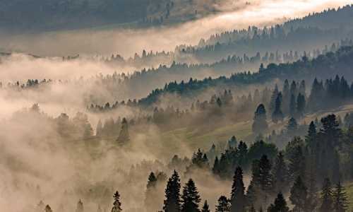 morning in the mountains.jpg
