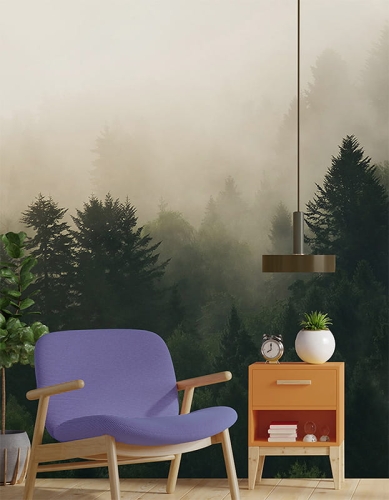 Unccany forest1.jpg