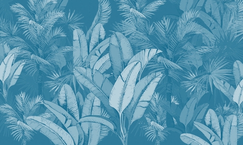 wonder blue leaves-MacBook Pro (Mariusz).jpg