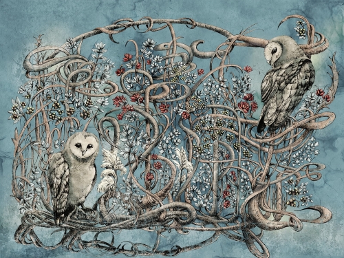 Avera Art. 500 31 2102.jpg