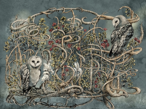 Avera Art. 500 32 2102.jpg