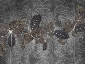 Grafika WallCraft Blara 615 31 2201