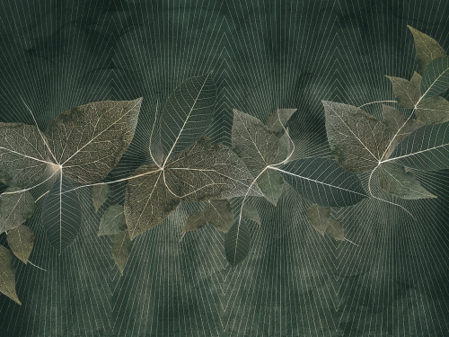 Blara Art. 615 32 2201.jpg