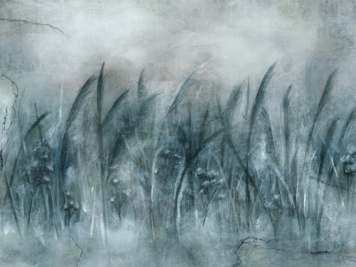 Canna Art. 535 31 2201.jpg