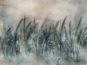 Grafika WallCraft Canna  535 32 2201