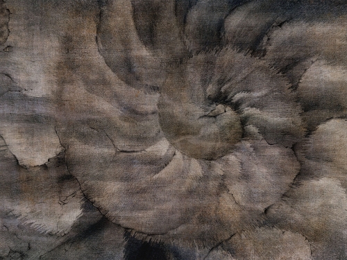 Fosilium Art. 405 32 2101.jpg