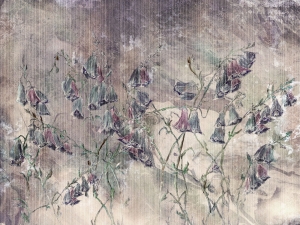 Grafika WallCraft Giolla 385 32 2101